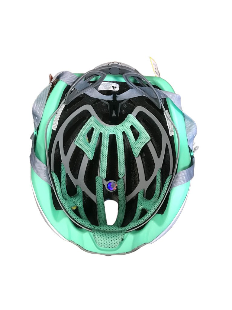 Falcon bike helmet